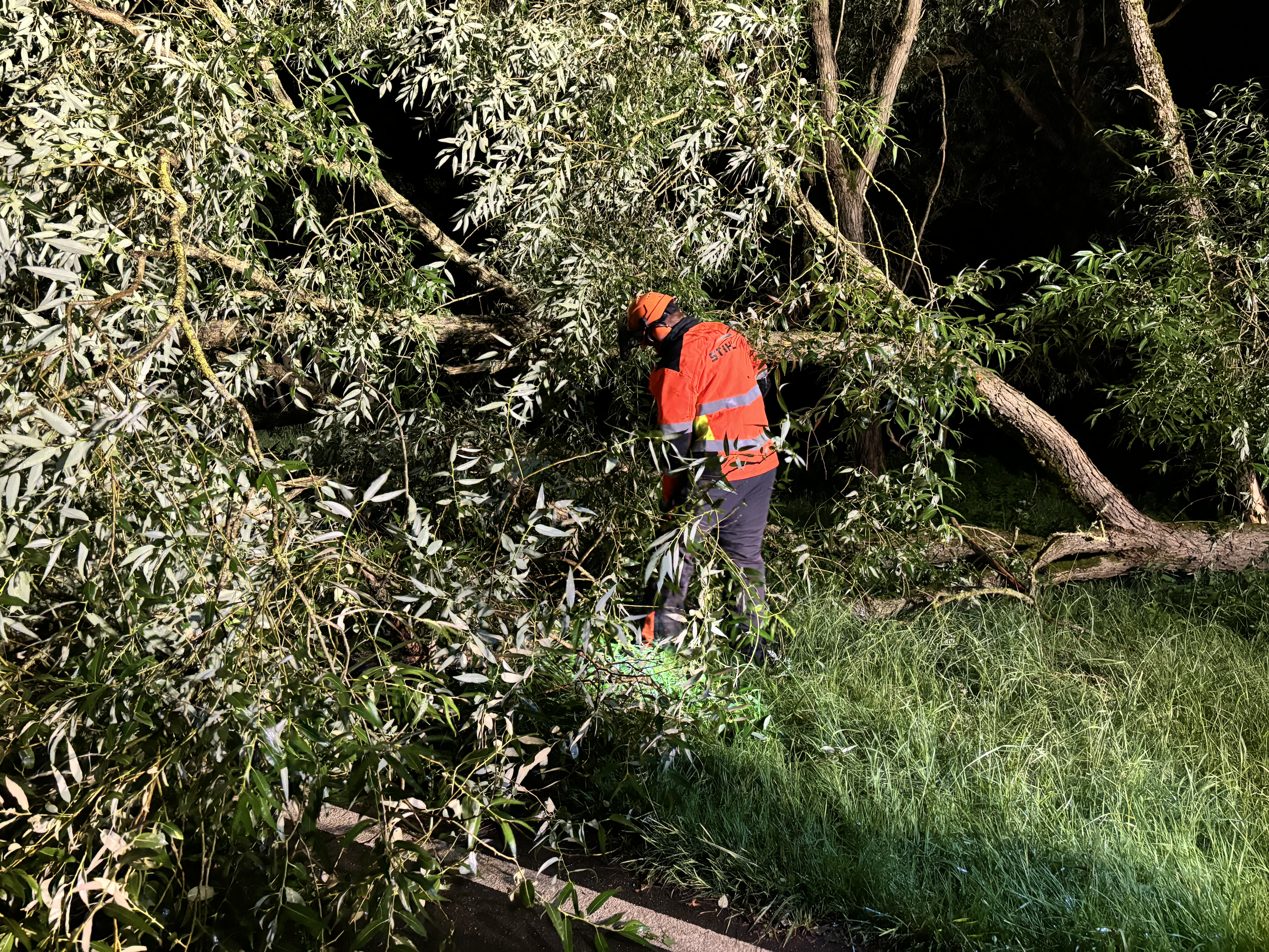 24-07-06 22-46-17 8014.jpg